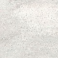Corian Arrowroot