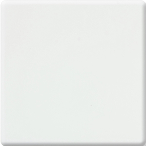 Bitto B301 Pearl