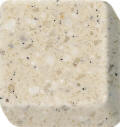 Corian Fossil