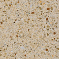 Staron FC155 Caraway